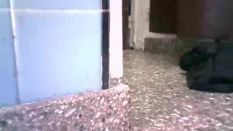 keny06 online show from December 27, 6:20 pm