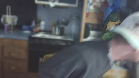 krytiar1992 online show from February 14, 10:10 am