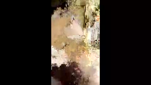 lestercameran80 online show from June 9, 10:17 am