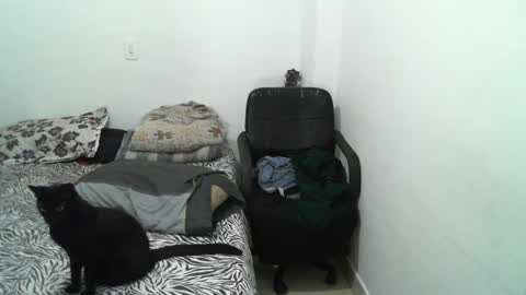 Lucky online show from January 10, 2:35 am