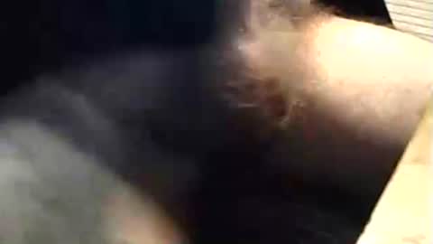 lukestarfckr online show from February 20, 8:05 am