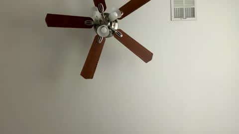 MandingooMann online show from April 9, 11:55 pm