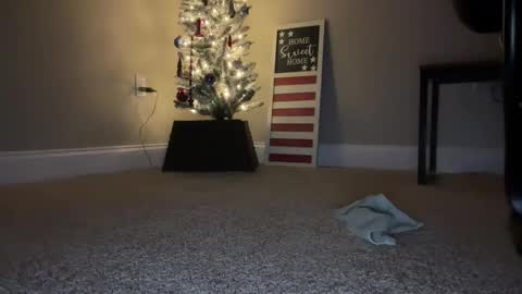 maxx276828 online show from November 22, 4:45 am