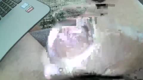 mexianthehawk online show from February 20, 2:52 am