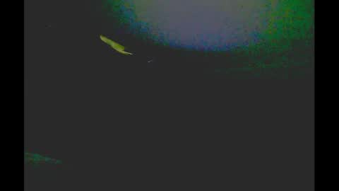 myassfatsowhat online show from January 5, 4:58 am
