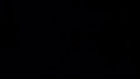 Haven online show from January 11, 12:20 pm