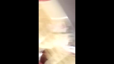 nicaraguanpapi23 online show from December 16, 2:51 am