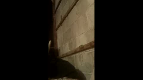 nillapuddin2 online show from January 17, 11:17 pm