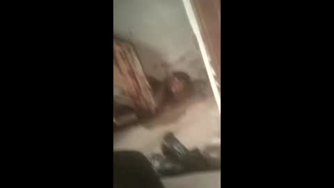 nillapuddin2 online show from February 26, 1:56 pm