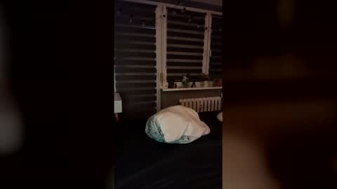 nitka89 online show from February 14, 1:17 pm