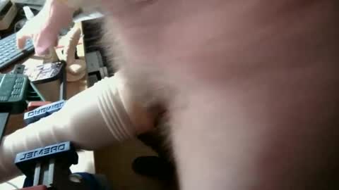 nomoreheroes online show from April 18, 7:58 pm