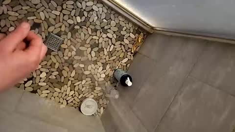 notme710 online show from February 20, 12:51 pm