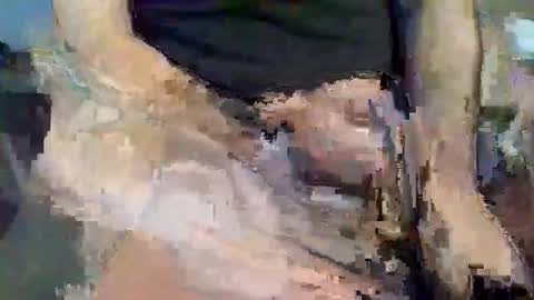 nutjob510 online show from June 4, 1:44 am