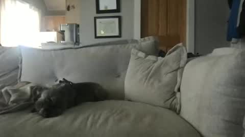 rossignol online show from November 10, 7:52 pm