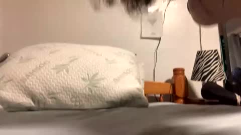 ozzy727 online show from February 23, 2:57 am