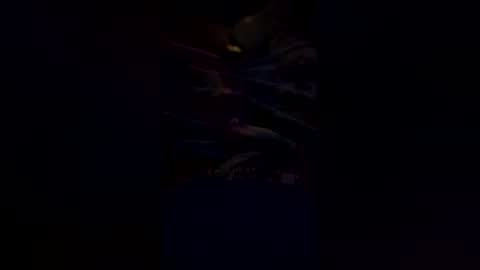 pcluq online show from July 5, 9:49 am