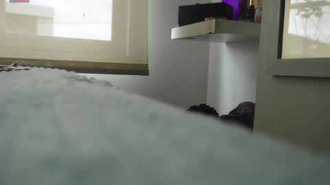 Pettercat online show from January 5, 6:24 pm