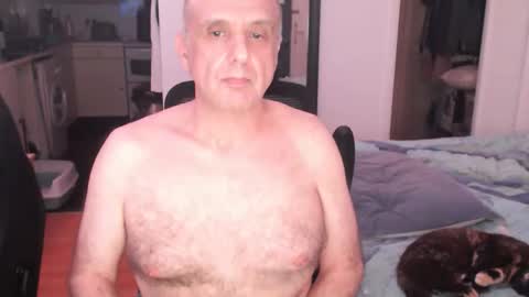 pip10 online show from February 10, 11:31 pm