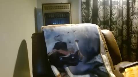 pirate334 online show from March 24, 3:55 am