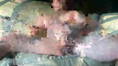 playtime123789 online show from May 29, 2:05 pm