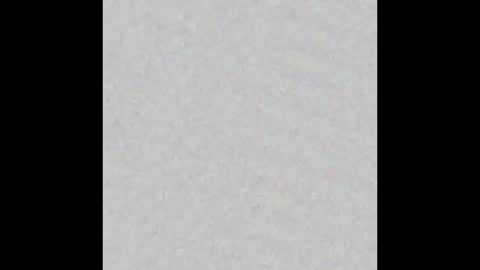 Woop peedoop online show from March 15, 7:05 am