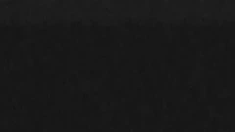 ConchilDog online show from June 1, 1:22 pm