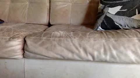 ppsmall_17 online show from February 8, 6:34 pm