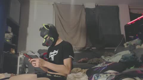 Pup Ferro and Pup Fuzzy online show from December 7, 5:09 pm