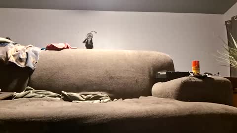 pussylicker517038 online show from April 20, 10:07 am