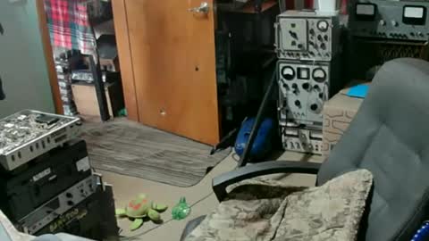 Randall online show from July 21, 8:00 pm