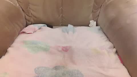 Mark online show from April 11, 7:45 am