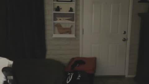 roinaz online show from January 24, 4:59 am