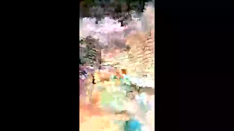 sameroptike67 online show from January 18, 7:54 am