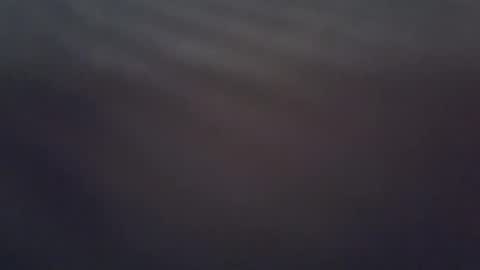 ssk online show from March 23, 1:50 pm