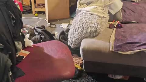 BiG DicK online show from April 8, 7:08 am