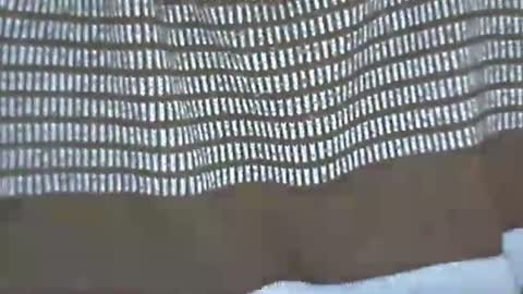 selim selim online show from November 29, 11:40 pm