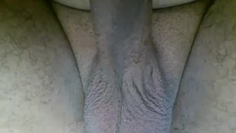 Homer009 online show from February 1, 1:59 am