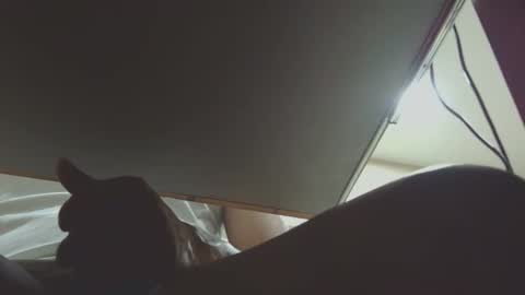 shubhamkhandelwal123 online show from November 15, 10:12 pm