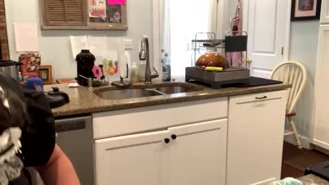 sissymaid_katielynne online show from January 21, 4:12 pm
