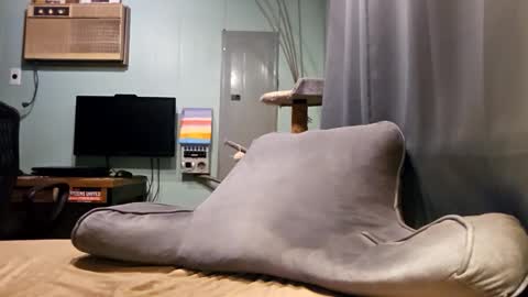 Snackyyyy online show from February 7, 2:40 am