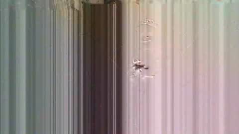 solisaniy online show from March 6, 3:53 pm