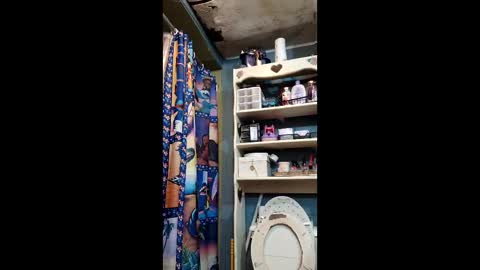 Ellis online show from May 17, 7:43 pm