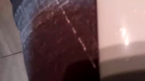 STEEVIDENTACHATTE online show from April 2, 1:03 am