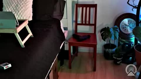 swissarmyknife1111 online show from April 15, 9:31 am