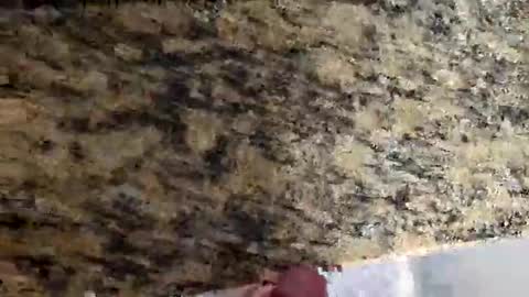 Canon online show from March 2, 4:47 pm