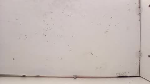 tall6feet7inch online show from February 27, 5:23 pm