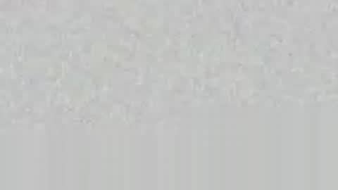 Talon Fever online show from April 11, 6:44 pm