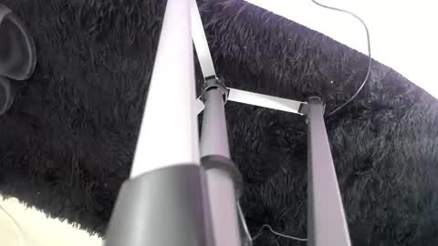 Noah online show from March 12, 5:53 pm