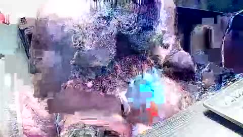 inky online show from February 22, 9:54 am