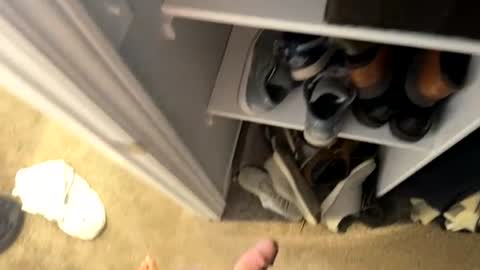 tchrnd online show from August 2, 8:18 pm